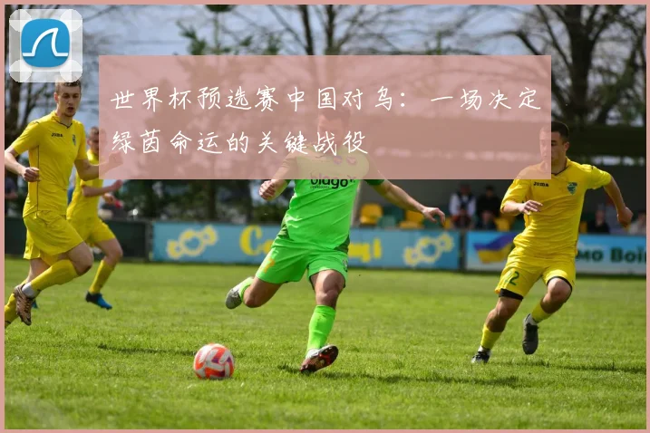 世界杯预选赛中国对乌：一场决定绿茵命运的关键战役