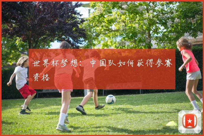世界杯梦想：中国队如何获得参赛资格