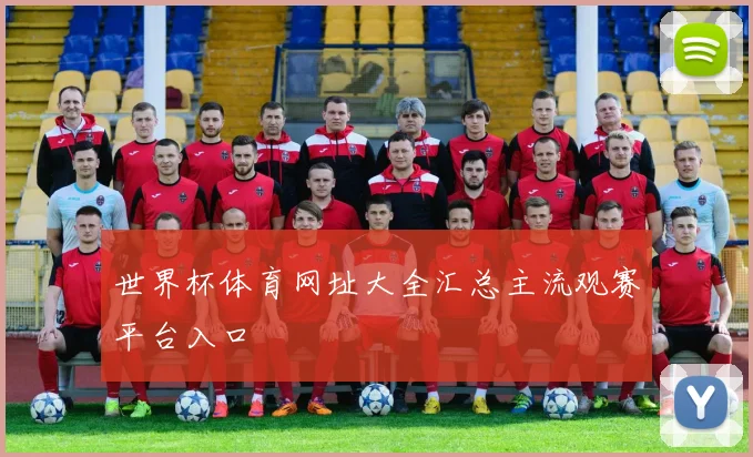 世界杯体育网址大全汇总主流观赛平台入口