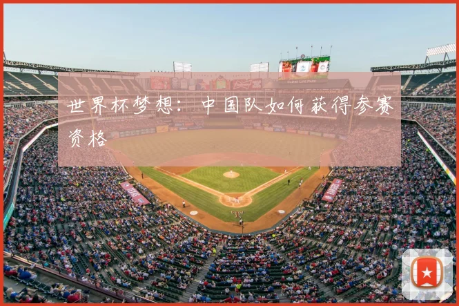 世界杯梦想：中国队如何获得参赛资格