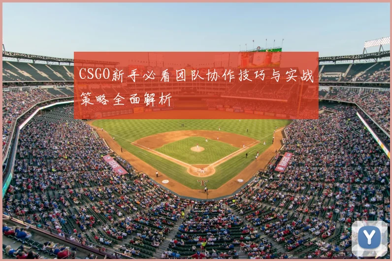 CSGO新手必看团队协作技巧与实战策略全面解析