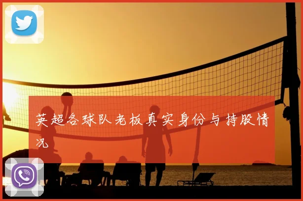 英超各球队老板真实身份与持股情况