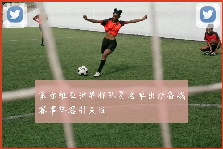 塞尔维亚世界杯队员名单出炉备战赛事阵容引关注